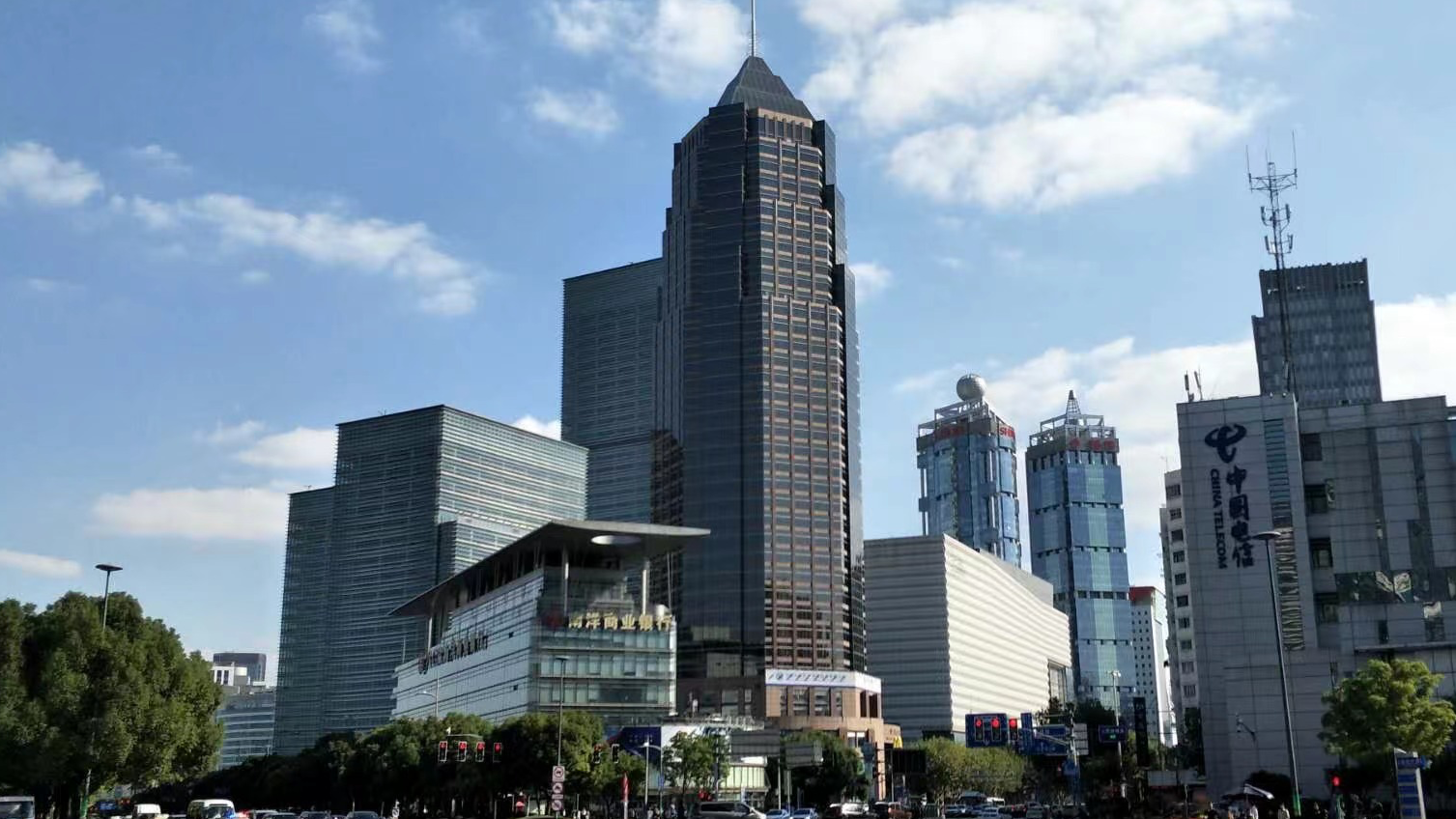 作物16835283263 53