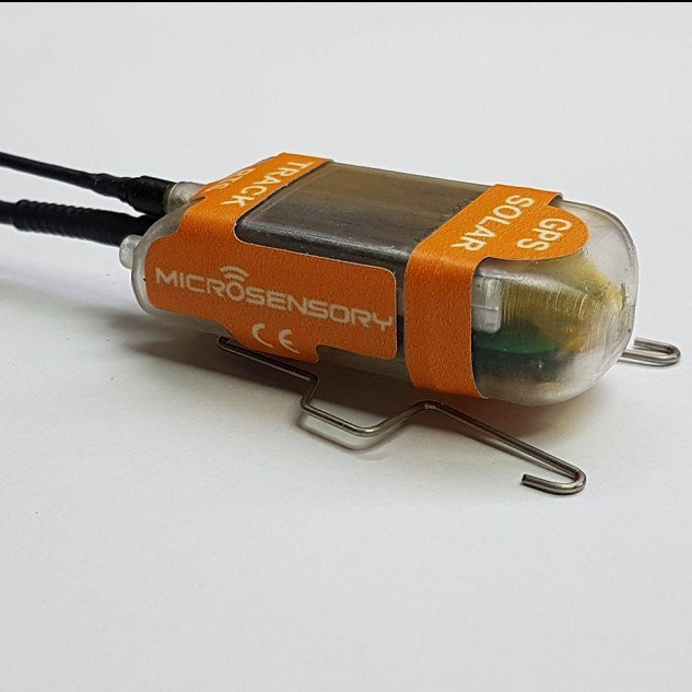 Solarzellenmodule f&uuml;r Wildtier-Tracker| Mikro-Photovoltaikzellen des solarbetriebenen Tierortungsger&auml;ts