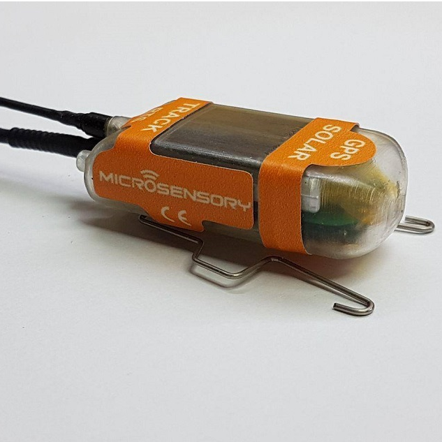 野生动物追踪器的特殊太阳能电池模块